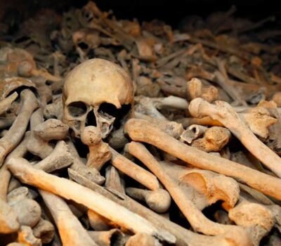 Los huesos hablan - Alberto Becerril