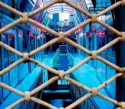 La policía del instante - Alan Román Méndez